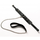 Черный ошейник с шипами и поводком - Crazy Handmade - купить с доставкой в Электростали