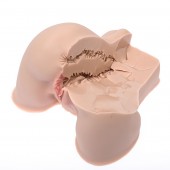 Мастурбатор-полуторс Naked Factory Kate - Naked Factory - в Электростали купить с доставкой