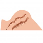 Мастурбатор-полуторс Naked Factory Hannah - Naked Factory - в Электростали купить с доставкой