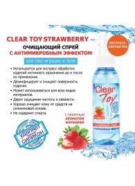 Очищающий спрей для игрушек CLEAR TOY Strawberry - 100 мл. - Биоритм - купить с доставкой в Электростали