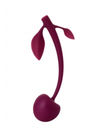 Бордовая вагинальная вишенка WILD CHERRY - 14,5 см. - JOS