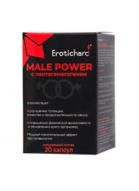 Капсулы для мужчин Erotichard male power с пантогематогеном - 20 капсул (0,370 гр.) - Erotic Hard - купить с доставкой в Электростали