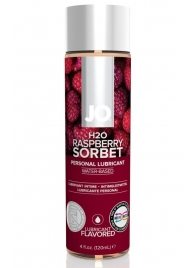 Лубрикант на водной основе с ароматом малины JO Flavored Raspberry Sorbet - 120 мл. - System JO - купить с доставкой в Электростали