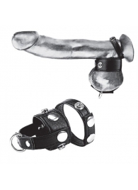 Утяжка для мошонки и пениса Cock Ring With 1  Ball Stretcher And Optional Weight Ring - BlueLine - купить с доставкой в Электростали