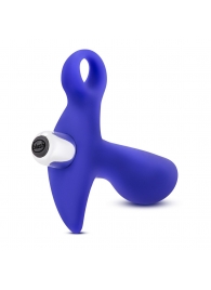 Синий стимулятор простаты с ручкой-кольцом Performance Prostimulator 02 - Blush Novelties - в Электростали купить с доставкой