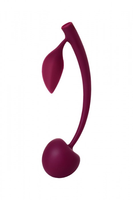Бордовая вагинальная вишенка WILD CHERRY - 13 см. - JOS