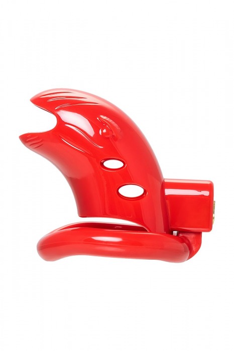 Красный мужской пояс верности из пластика - ToyFa - купить с доставкой в Электростали