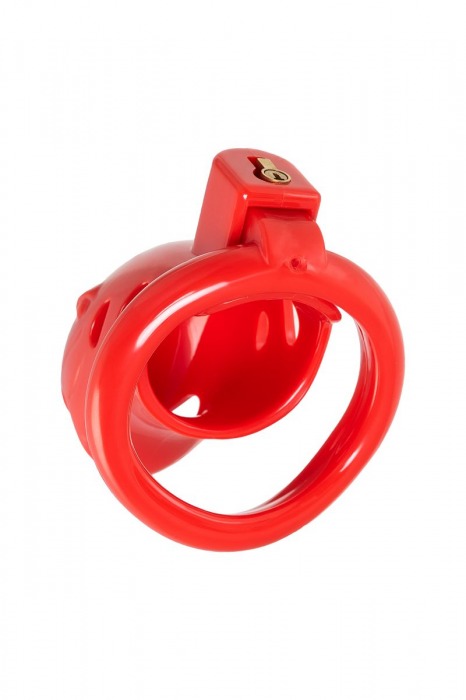 Красный мужской пояс верности из пластика - ToyFa - купить с доставкой в Электростали