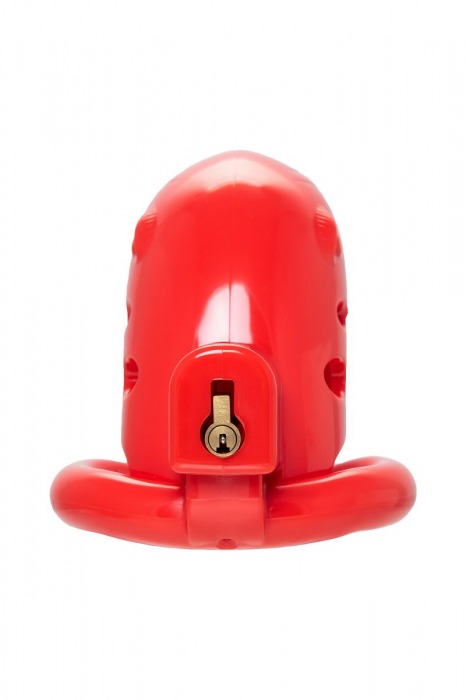 Красный мужской пояс верности из пластика - ToyFa - купить с доставкой в Электростали