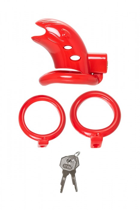 Красный мужской пояс верности из пластика - ToyFa - купить с доставкой в Электростали