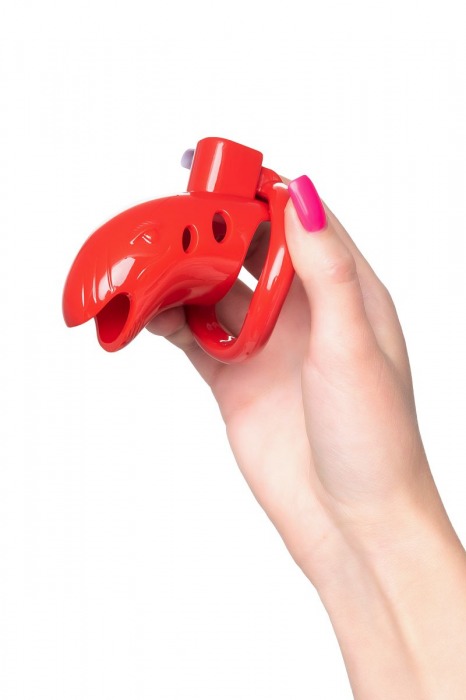 Красный мужской пояс верности из пластика - ToyFa - купить с доставкой в Электростали