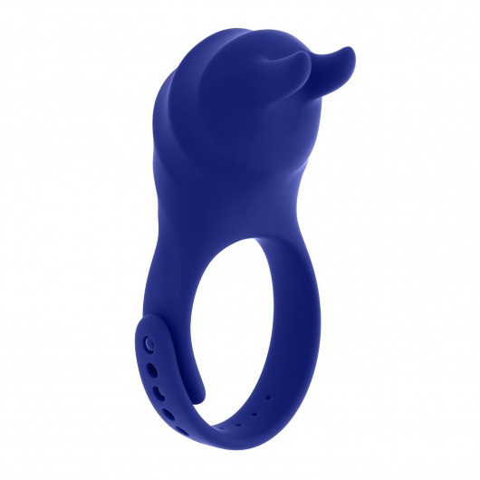 Синее эрекционное виброкольцо с клиторальной подушечкой и пультом ДУ Adjustable Fun Ring - Zero Tolerance - в Электростали купить с доставкой