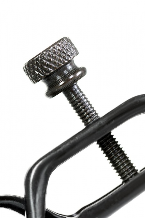 Черно-золотистые зажимы для сосков TOYFA Theatre - ToyFa - купить с доставкой в Электростали